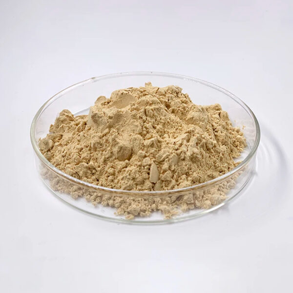 Angled side view of light beige ginseng powder loosely presented in a shallow clear glass dish