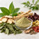 Botanical Powders