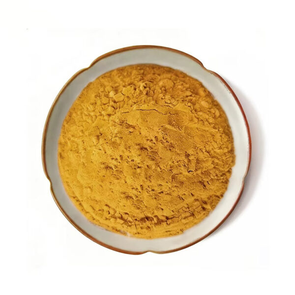 Fine sea buckthorn fruit powder in a ceramic dish for capsules, sachets, and nutrition powder formulations