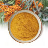 Fine sea buckthorn fruit powder with orange berries for powder blends, drink mixes, and functional food formulations