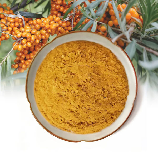 Fine sea buckthorn fruit powder with orange berries for powder blends, drink mixes, and functional food formulations