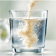 Functional Food & Beverage Ingredients