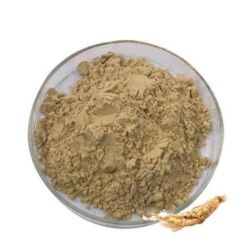Ginseng powder in a clear glass dish with light beige botanical powder and a ginseng-like root beside it