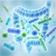 Gut & Digestive Health