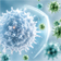 Immune Support