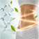 Metabolic Health