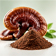 Mushroom Extracts