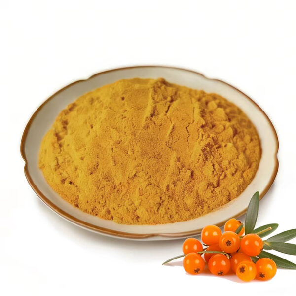 Sea buckthorn fruit powder with orange berries and leaves for supplement, capsule, and botanical powder formulations