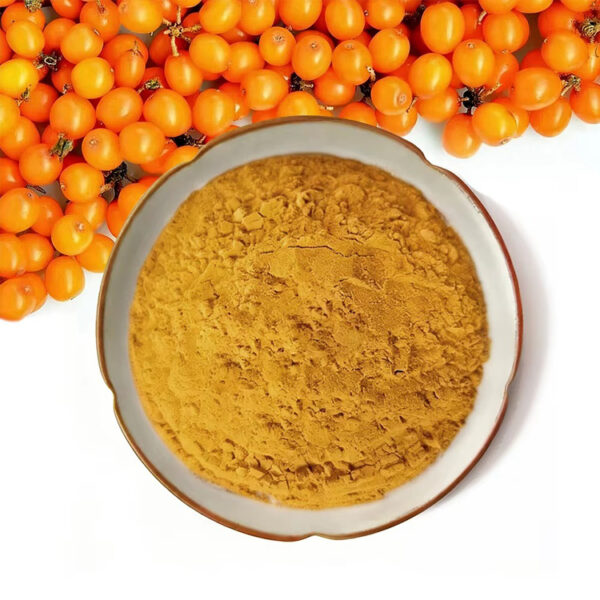 Sea buckthorn fruit powder with visible orange berries for functional beverage and botanical ingredient formulations