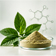 Standardized Botanical Extracts