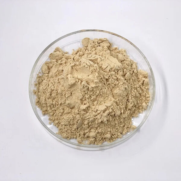Top view of light beige ginseng powder with a dry powdered texture displayed in a clear glass dish