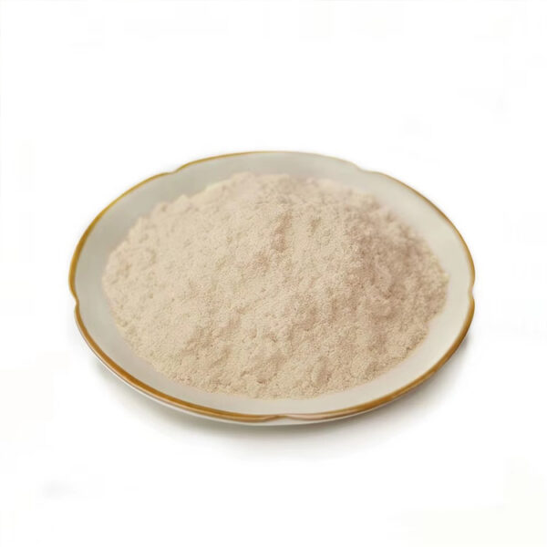Almond powder in a ceramic dish showing pale beige powder for nutrition powder formulation development