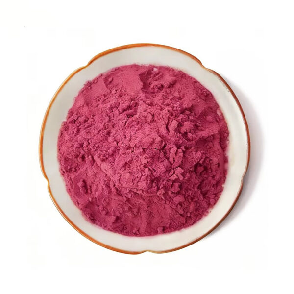 Top view of fine magenta-red beetroot powder for sachets, nutrition powders, and supplement formulation