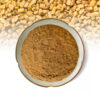Fenugreek seed powder shown with visible fenugreek seeds for capsule and tablet formulation applications