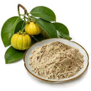 Garcinia cambogia extract standardized to HCA shown as fine powder with Garcinia fruit for supplement formulation