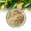 Garcinia cambogia extract powder with yellow Garcinia fruit and leaves for standardized botanical supplement formulations