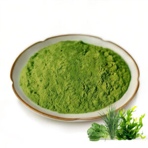 Fine green vegetable powder with leafy green imagery for powdered beverage and nutrition blend development