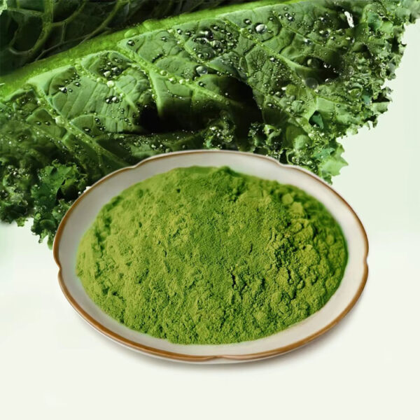 Kale powder with fresh kale leaves as a vegetable ingredient for supplement and nutrition powder formulations