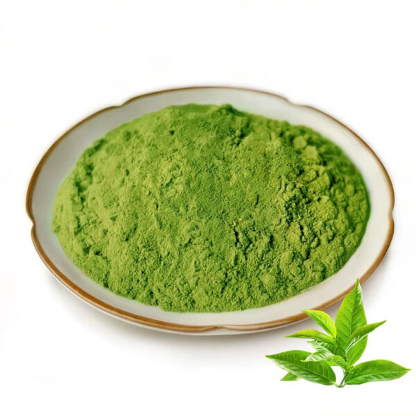 Matcha powder with visible green tea leaves as a powdered botanical ingredient for beverage and functional food formulation