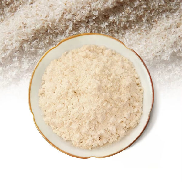Psyllium husk powder with visible psyllium husk material for botanical supplement formulation