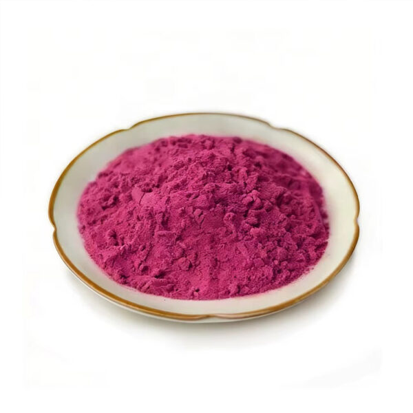 Fine red dragon fruit powder in a ceramic dish for nutrition powder and supplement blend formulation