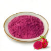 Red dragon fruit powder with visible dragon fruit source for functional food and smoothie powder applications
