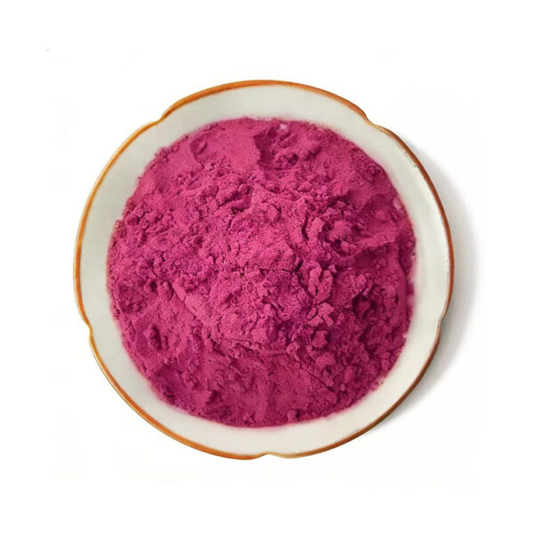 Top view of red dragon fruit powder for drink mixes and fruit-based nutrition powder formulations
