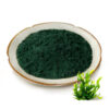 Spirulina powder microalgae ingredient in a ceramic dish for supplement and nutrition powder formulation
