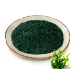 Spirulina powder microalgae ingredient in a ceramic dish for supplement and nutrition powder formulation