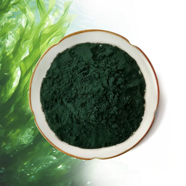 Top-view Spirulina powder ingredient for functional beverage and supplement powder formulations