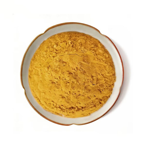 Turmeric root powder in a top-view dish presentation for botanical supplement and nutrition powder formulations
