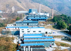 Botanical extract production workshop supporting bulk ingredient supply for dietary supplement manufacturers