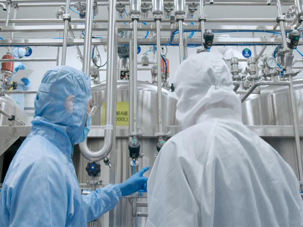 Botanovance team reviewing manufacturing documentation and coordinating nutraceutical ingredient procurement requirements
