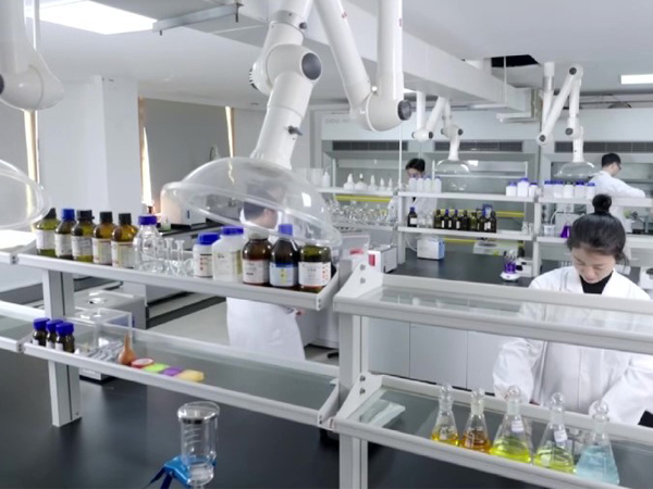 Botanovance technical team evaluating ingredient specifications and formulation compatibility for supplement development