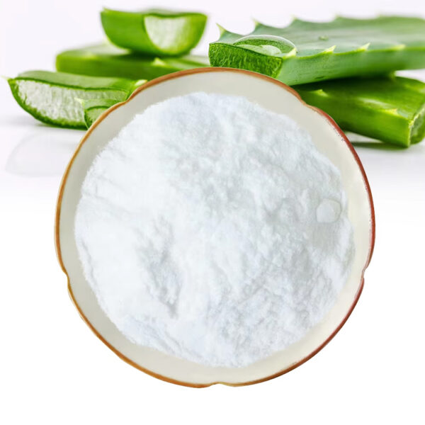 Aloe vera extract powder in a cream-colored ceramic dish with fresh aloe leaves, representing the 10:1 and 20:1 ratio options