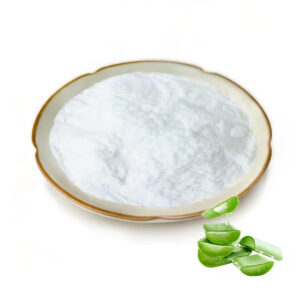 White aloe vera extract powder in a ceramic dish with small green aloe leaf sections arranged beside the lower right edge