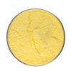 Top view of fine yellow apigenin 98% powder in a round transparent glass dish, with a HONG HAN logo in the upper left.