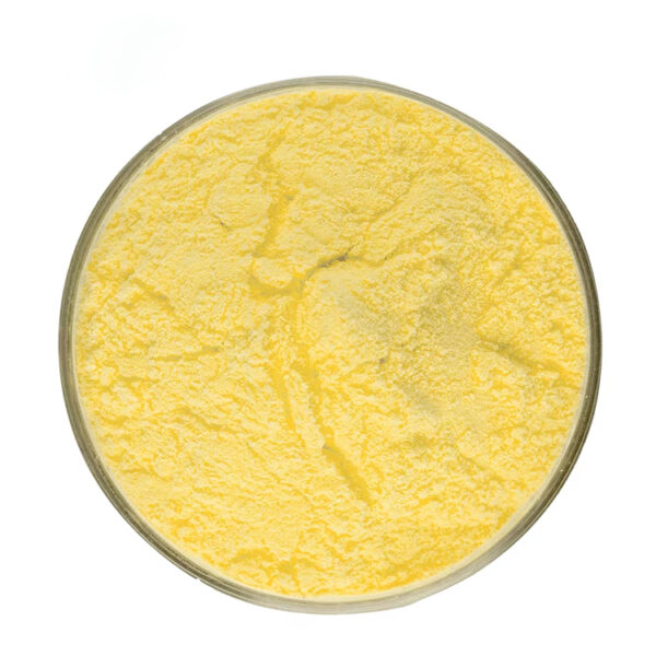 Top view of fine yellow apigenin 98% powder in a round transparent glass dish, with a HONG HAN logo in the upper left.
