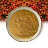 Chinese prickly ash extract powder in a ceramic dish with clusters of reddish Sichuan peppercorn-like material in the background