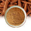 Cinnamon extract powder in a ceramic dish surrounded by cinnamon sticks, presented as a bulk botanical ingredient