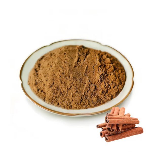 Cinnamon extract powder displayed in a ceramic dish with cinnamon sticks arranged in the lower corner