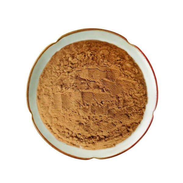 Top-down view of brown cinnamon extract powder in a scalloped white dish showing fine texture and small clumps