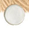 White ferulic acid powder in a shallow ceramic dish photographed from above with coarse beige grain-like material in the background