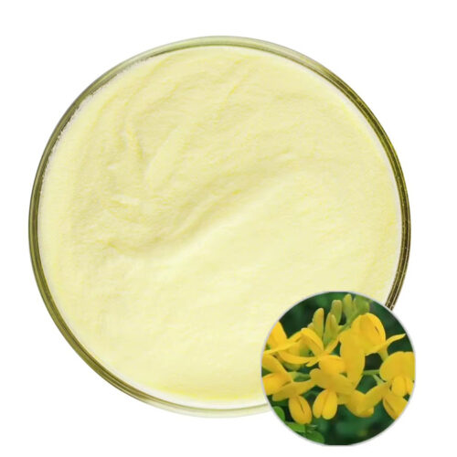 Overhead presentation of light yellow genistein powder in a glass dish with a circular inset showing yellow flowers