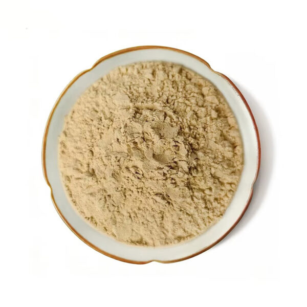 Gynostemma extract powder with a light beige color, presented in a white ceramic dish for botanical ingredient sourcing
