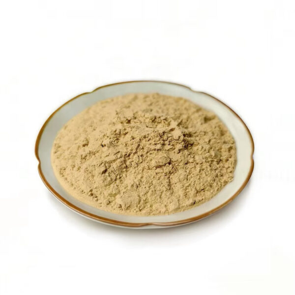 Side-angle view of light beige Gynostemma extract powder piled in a shallow ceramic dish against a clean white background