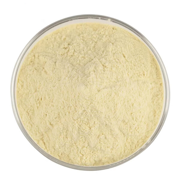 Hesperidin powder from Citrus aurantium displayed in a round glass dish, showing its pale yellow color and fine texture