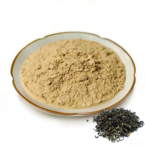Close angled view of Jiaogulan extract powder showing its fine beige texture and small clumps, with dried leaves beside the dish