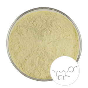 Kaempferol powder in a glass dish with an inset molecular structure illustrating the flavonol ingredient's chemical identity.