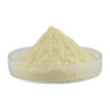 Pale yellow kaempferol powder forming a loose mound in a shallow transparent glass dish, viewed from the side.
